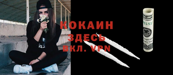 молекула духа Алзамай