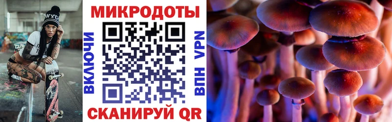 мега маркетплейс  Кочубеевское  Псилоцибиновые грибы Cubensis  купить  цена 